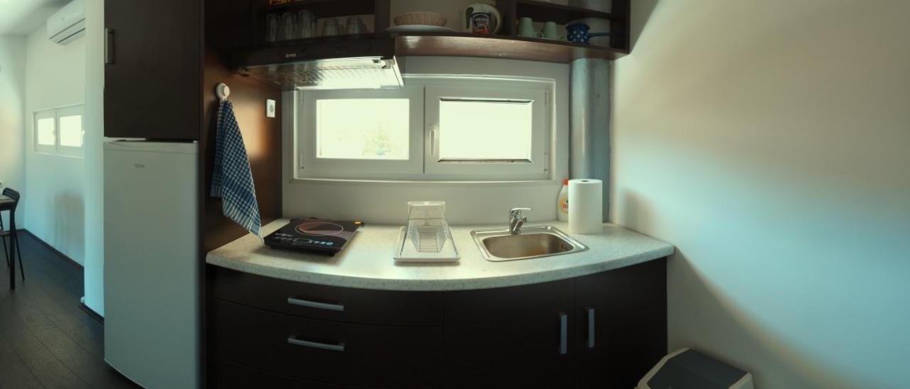 Apartman Terassa Donji Milanovac Exterior foto