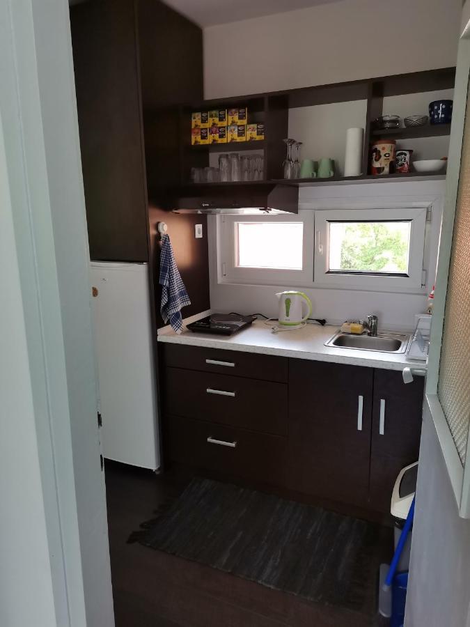 Apartman Terassa Donji Milanovac Exterior foto