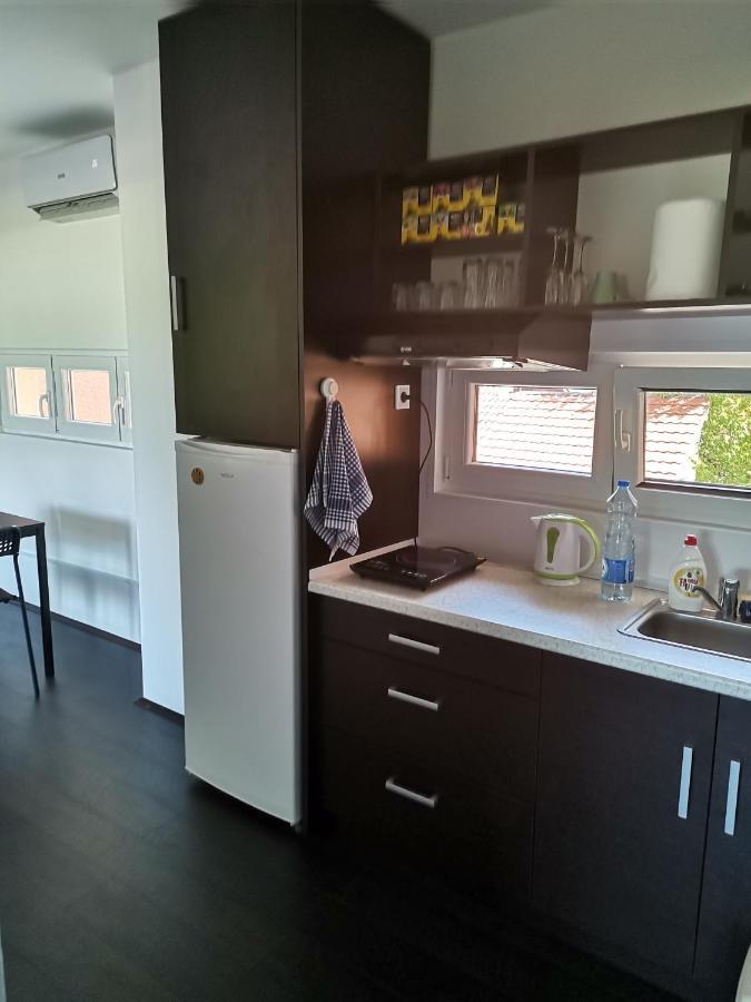 Apartman Terassa Donji Milanovac Exterior foto