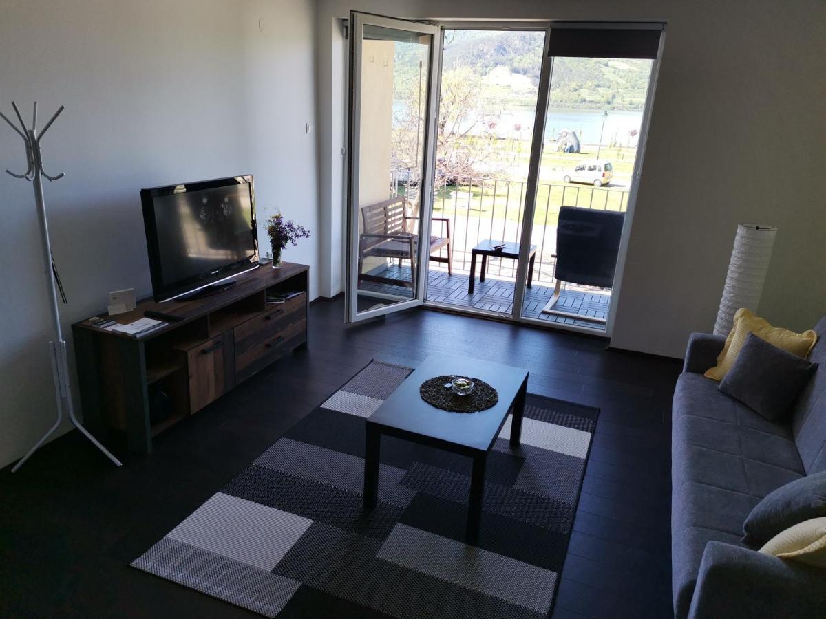 Apartman Terassa Donji Milanovac Exterior foto